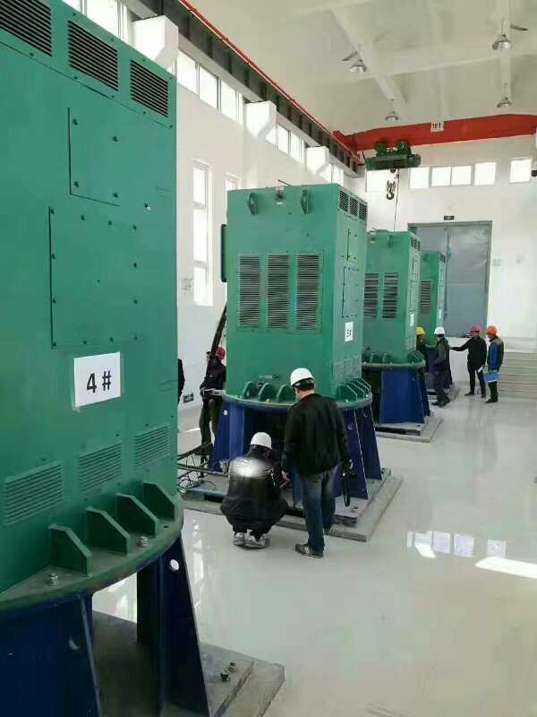 Y5603-4某污水处理厂使用我厂的立式高压电机安装现场