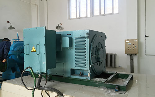 Y5603-4某水电站工程主水泵使用我公司高压电机