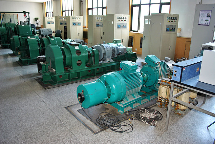 Y5603-4某热电厂使用我厂的YKK高压电机提供动力